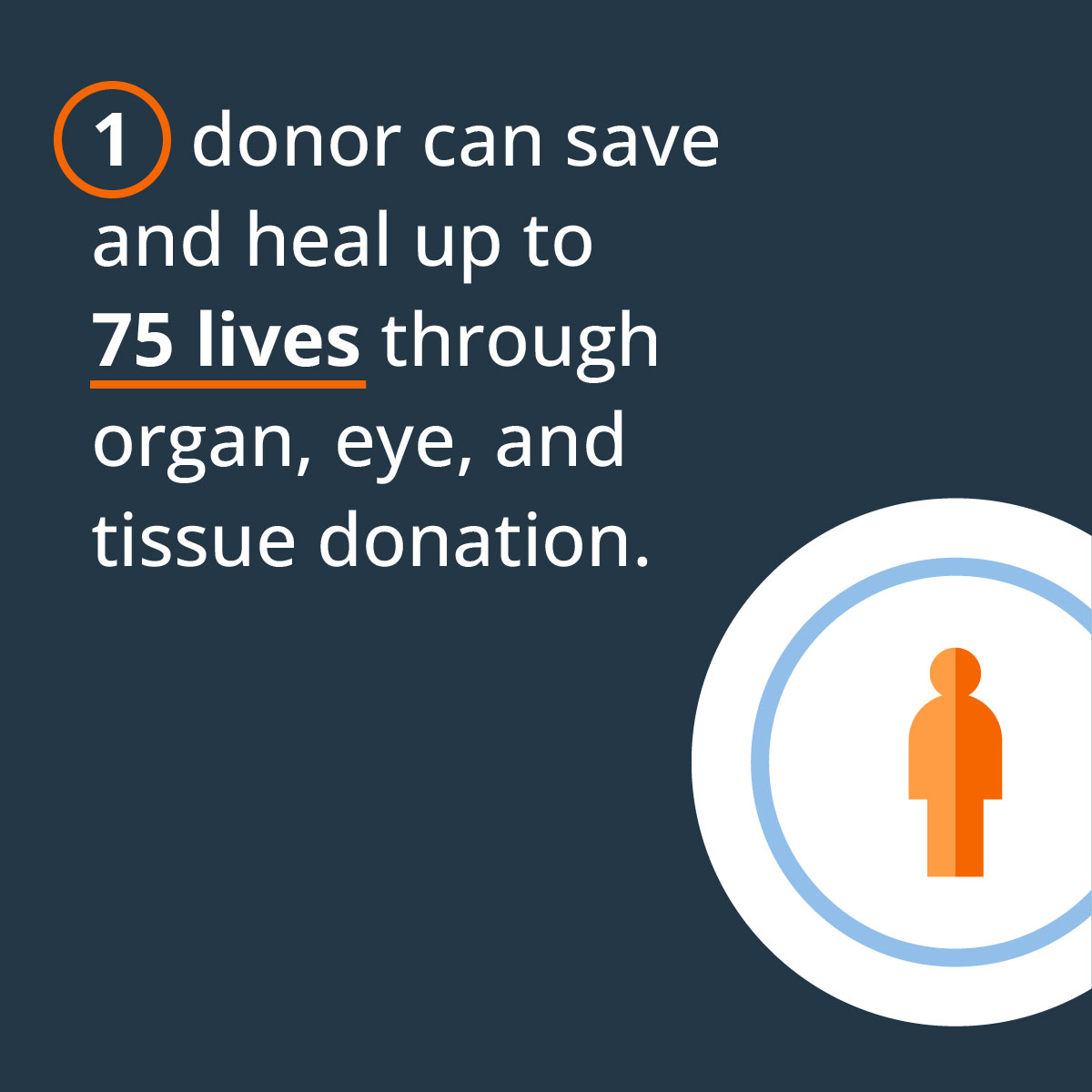 TD_Infographic_75Lives_1a